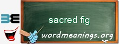 WordMeaning blackboard for sacred fig